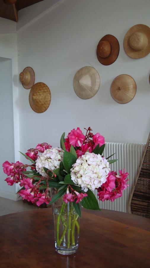 Bois De Cadene Bed & Breakfast Saint-Pierre-de-Buzet Exterior photo